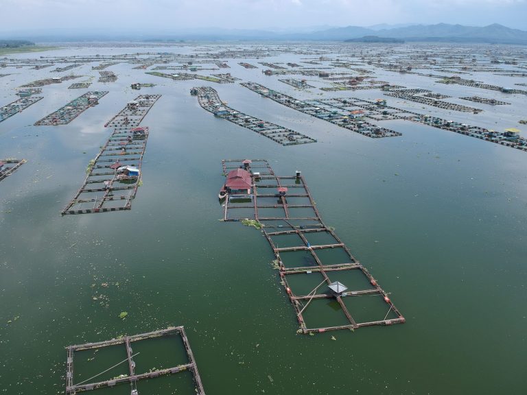 Floating Aquaculture Cage Systems