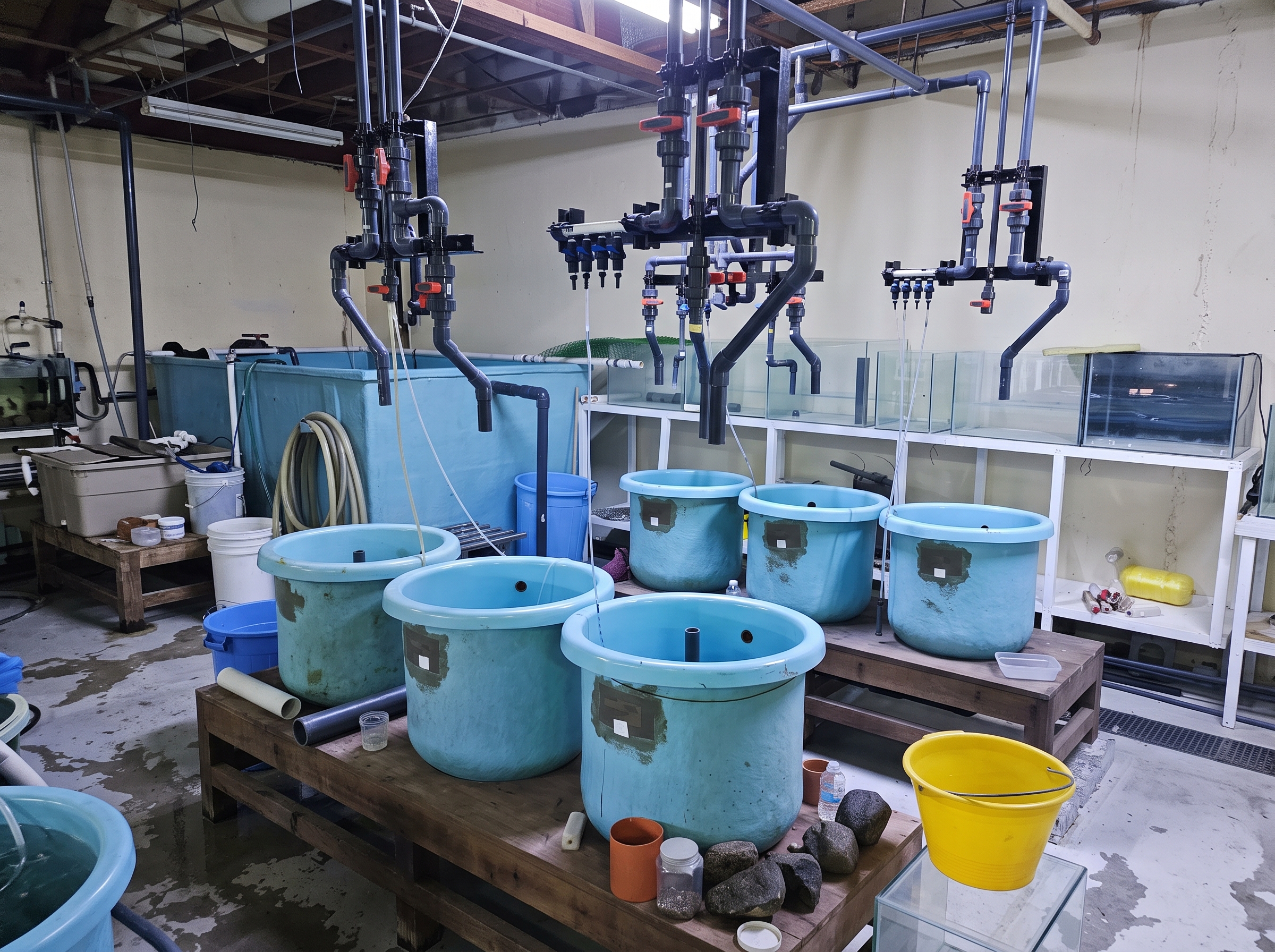 Modular Research Aquaculture Systems